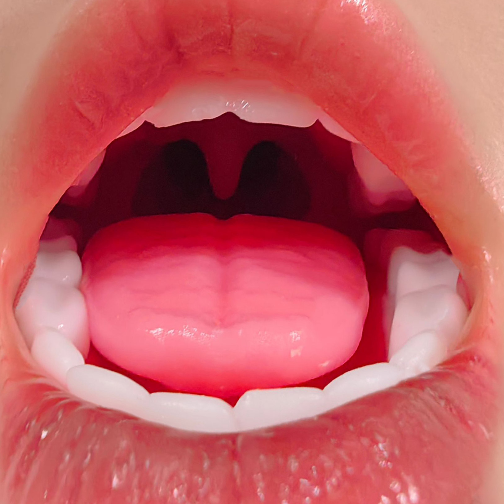 ROS realistic oral structure mouth